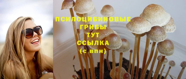гашик Кинешма