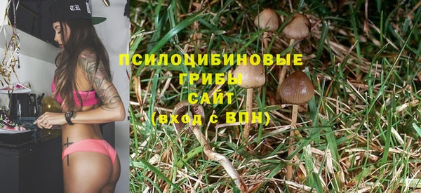 трава Киренск