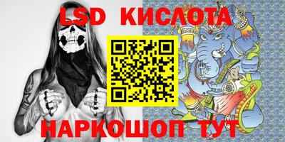 прущие грибы Кунгур