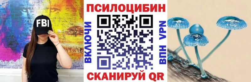 Галлюциногенные грибы Psilocybe Реутов