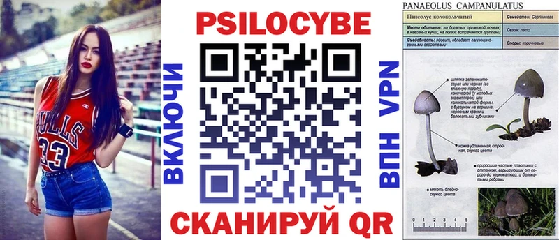 Псилоцибиновые грибы мицелий  как найти закладки  Реутов 