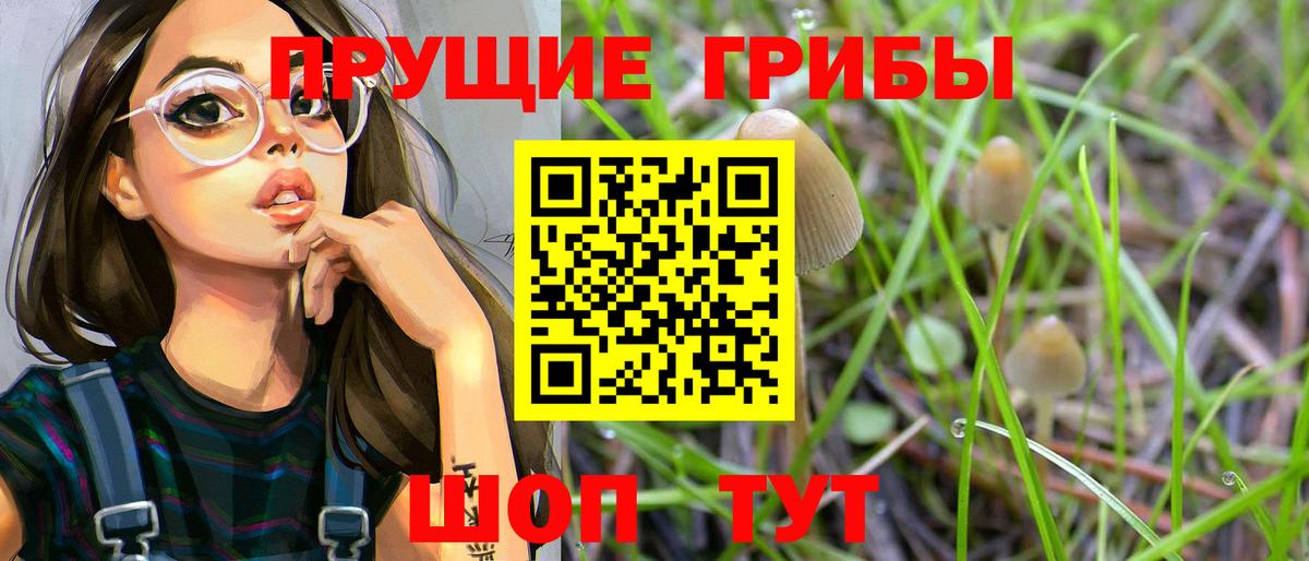 Псилоцибиновые грибы мухоморы Реутов